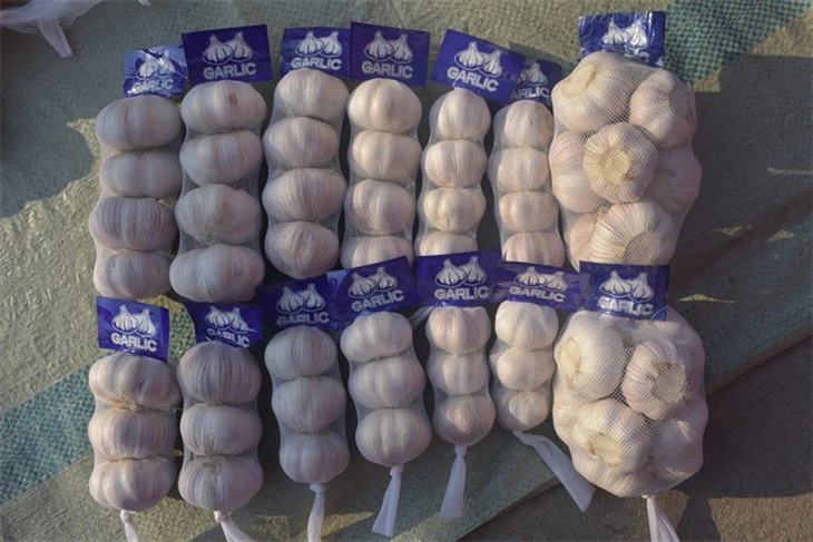 Прясно набран чесън