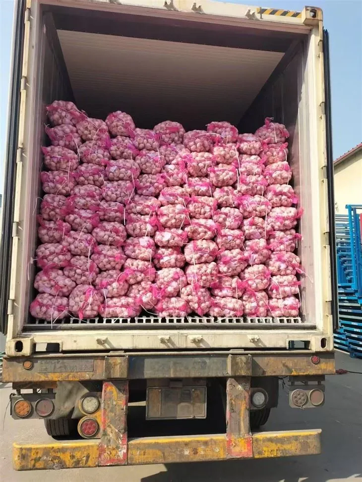 Хубав микс чесън