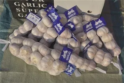 Пресен див чесън