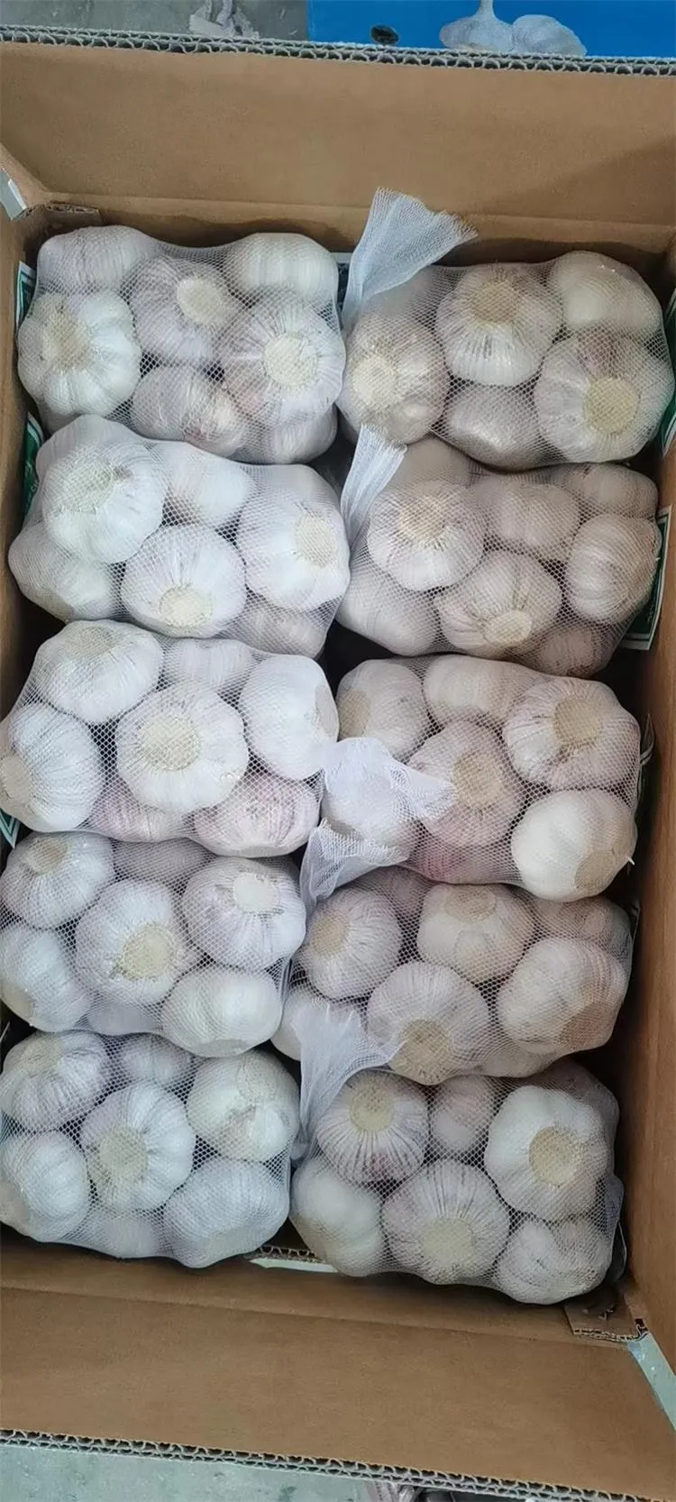Samll Net Garlic