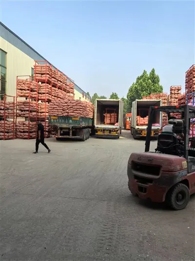 Голяма торба с бял чесън