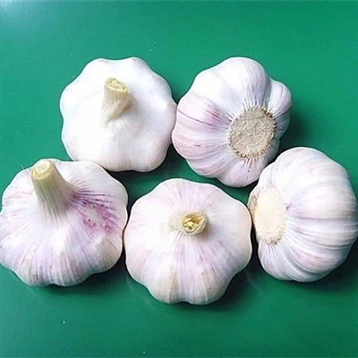 Свеж органичен чесън