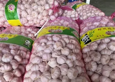 Големи торби с чесън